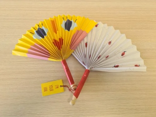 Fans made out of dolly pegs