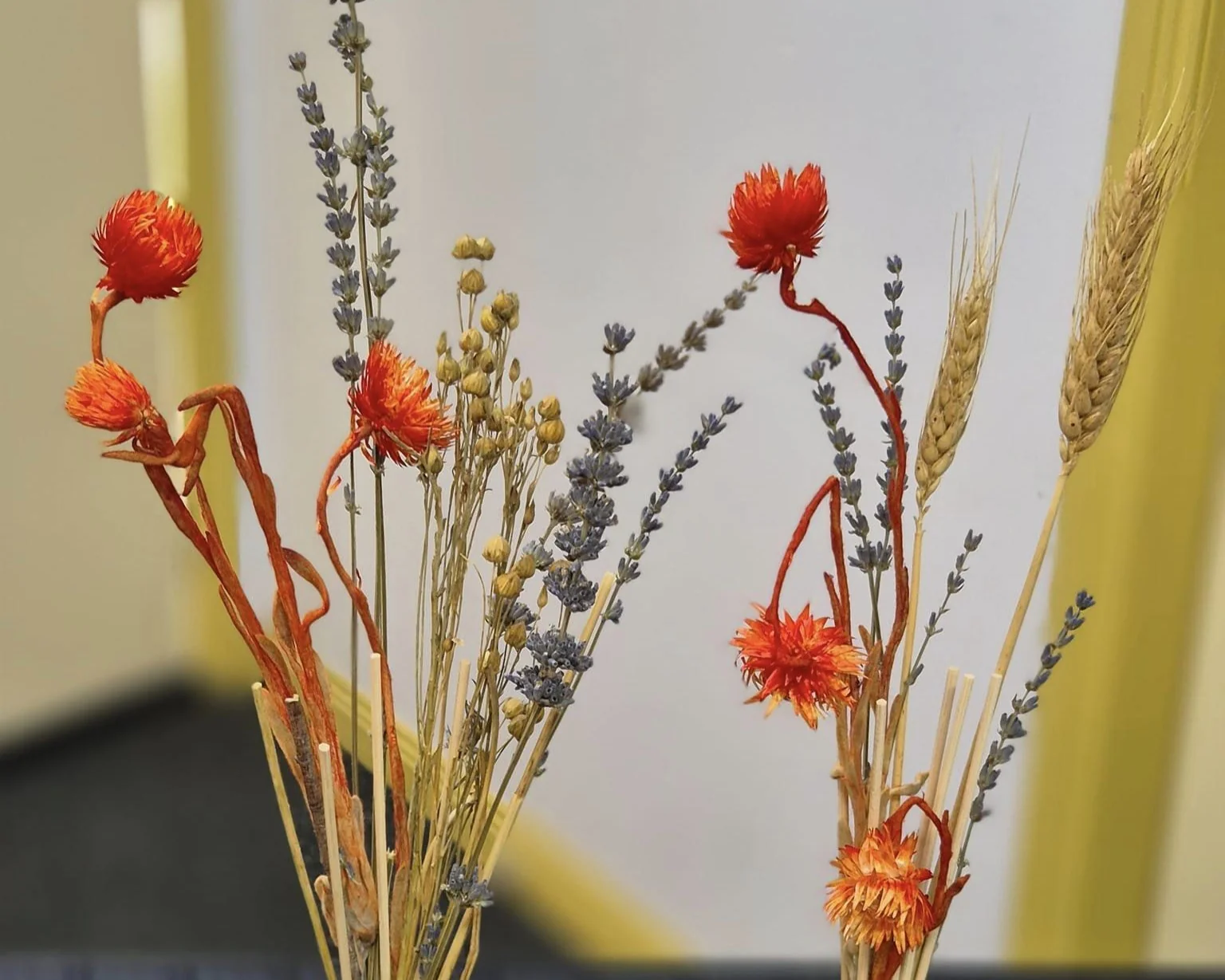 Dried flowers that have been made into diffusers