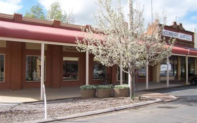 Image of the Henty Library exterior